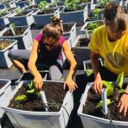 © Laboratoire sur l'Agriculture Urbain (AU/LAB) © Laboratoire sur l'Agriculture Urbain (AU/LAB)
