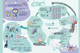 © FRQ, F.R.S. - FNRS / CpiG - L’IA mise à contribution dans la lutte contre les résistances aux antimicrobiens © FRQ, F.R.S. - FNRS / CpiG - L’IA mise à contribution dans la lutte contre les résistances aux antimicrobiens